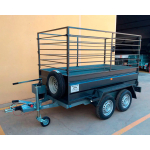 Remolque de carga 2 ejes 2500 x 1500 x 500 mm MMA 750 kg